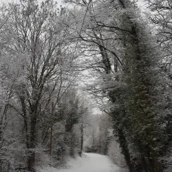 Wallberg Tower (Wallbergturm) - Pforzheim