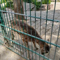 Wildpark Pforzheim - Pforzheim