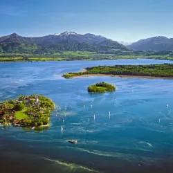Chiemsee Schiffahrt (Boat Tours) - Prien am Chiemsee