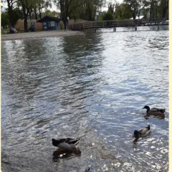 Hiking Trails around Prien am Chiemsee - Prien am Chiemsee