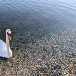 Hiking Trails around Prien am Chiemsee - Prien am Chiemsee