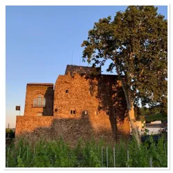 Brömserburg Castle - Rüdesheim am Rhein