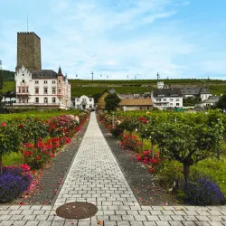 Brömserburg Castle - Rüdesheim am Rhein