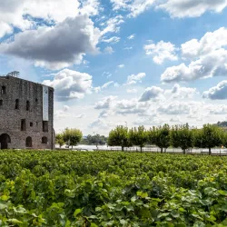 Brömserburg Castle - Rüdesheim am Rhein