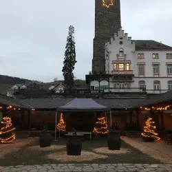 Brömserburg Castle - Rüdesheim am Rhein