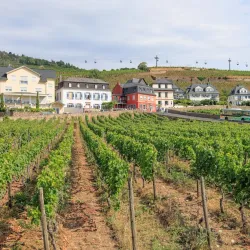 Brömserburg Castle - Rüdesheim am Rhein