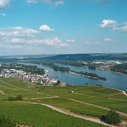 Niederwald Monument (Niederwalddenkmal) - Rüdesheim am Rhein