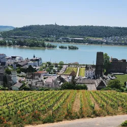 Niederwald Monument (Niederwalddenkmal) - Rüdesheim am Rhein