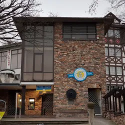 Rüdesheim Cable Car (Seilbahn Rüdesheim) - Rüdesheim am Rhein