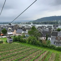 Rüdesheim Cable Car (Seilbahn Rüdesheim) - Rüdesheim am Rhein