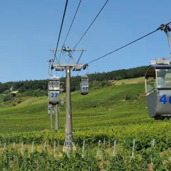 Rüdesheim Cable Car (Seilbahn Rüdesheim) - Rüdesheim am Rhein