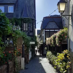 Rüdesheim Cable Car (Seilbahn Rüdesheim) - Rüdesheim am Rhein