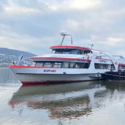 Rhine River Cruises - Rüdesheim am Rhein