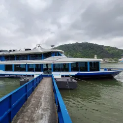 Rhine River Cruises - Rüdesheim am Rhein