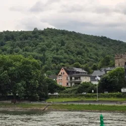 Rhine River Cruises - Rüdesheim am Rhein