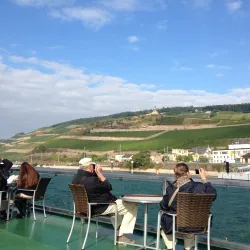Rhine River Cruises - Rüdesheim am Rhein