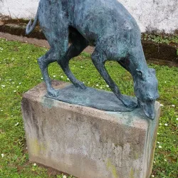 Siebengebirge Museum - Rüdesheim am Rhein