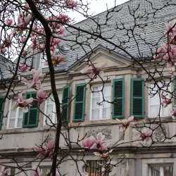 Siebengebirge Museum - Rüdesheim am Rhein