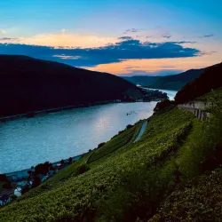 Vineyard Hiking Trails - Rüdesheim am Rhein