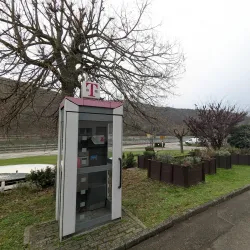 Vineyard Hiking Trails - Rüdesheim am Rhein