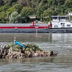 Vineyard Hiking Trails - Rüdesheim am Rhein