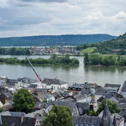 Vineyard Hiking Trails - Rüdesheim am Rhein