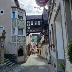 Vineyard Hiking Trails - Rüdesheim am Rhein