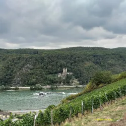 Vineyard Hiking Trails - Rüdesheim am Rhein