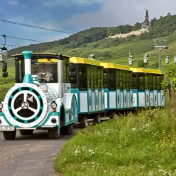 Winzerexpress (Wine Train) - Rüdesheim am Rhein