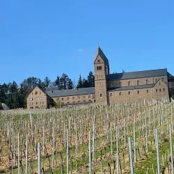 Winzerexpress (Wine Train) - Rüdesheim am Rhein