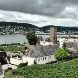Winzerexpress (Wine Train) - Rüdesheim am Rhein