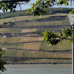 Winzerexpress (Wine Train) - Rüdesheim am Rhein