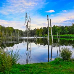 Kirchhellener Heide - Recklinghausen
