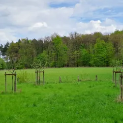 Kirchhellener Heide - Recklinghausen