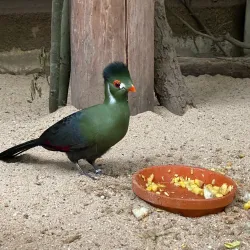 Waldpark Recklinghausen - Recklinghausen