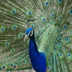 Waldpark Recklinghausen - Recklinghausen