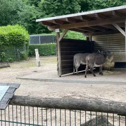 Waldpark Recklinghausen - Recklinghausen