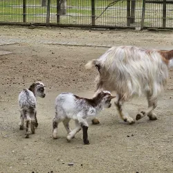 Waldpark Recklinghausen - Recklinghausen