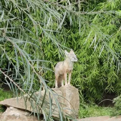 Waldpark Recklinghausen - Recklinghausen