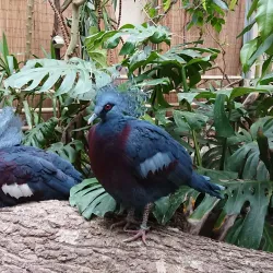 Waldpark Recklinghausen - Recklinghausen