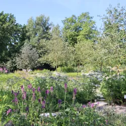 Regensburg Botanical Garden - Regensburg