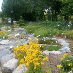 Regensburg Botanical Garden - Regensburg