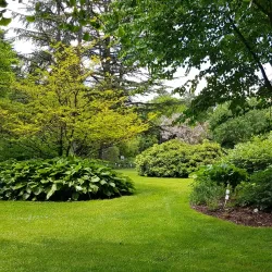 Regensburg Botanical Garden - Regensburg