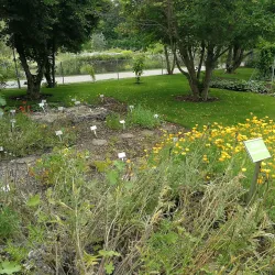 Regensburg Botanical Garden - Regensburg