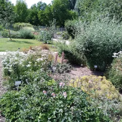 Regensburg Botanical Garden - Regensburg