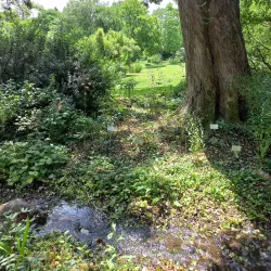 Regensburg Botanical Garden - Regensburg