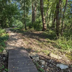 Regensburg Botanical Garden - Regensburg