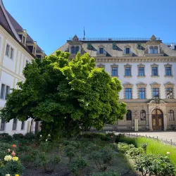 Thurn and Taxis Palace (Schloss Thurn und Taxis) - Regensburg