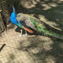 Remagen Rhine Bridge Park - Remagen