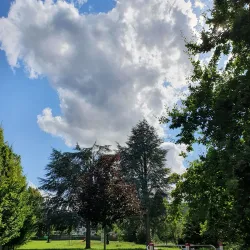 Remagen War Cemetery - Remagen